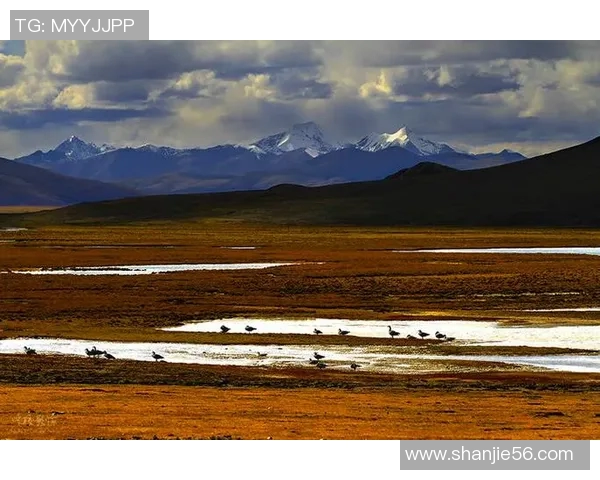 西藏昂仁足球球星成长之路与草原力量的精彩故事